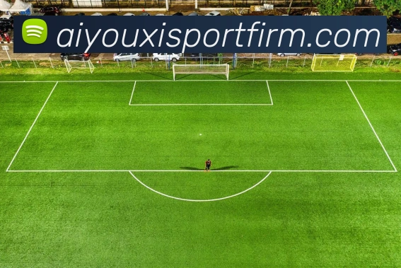 爱游戏体育服务体系